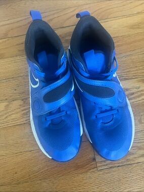 Nike Kids Royal Blue Hook-and-Loop Sneakers